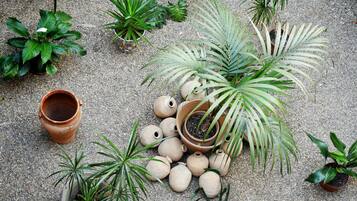 Habitació individual | Terrassa o pati