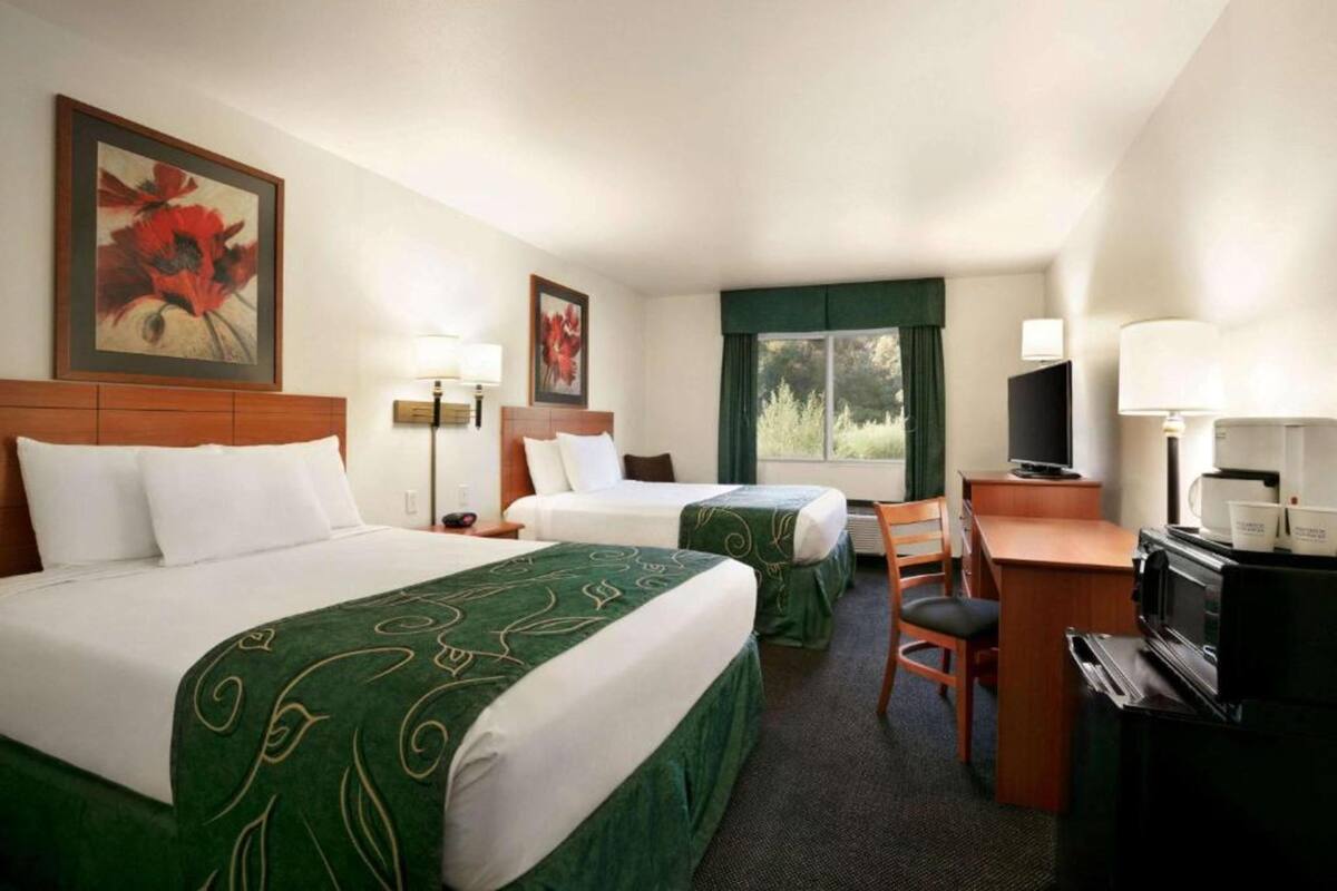 Een hotelkamer met twee bedden, een bureau, een stoel, een televisie en een raam met uitzicht op groen.