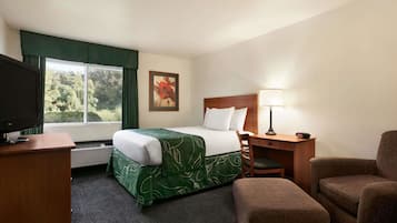 A hotel room with a bed, a desk, a chair, a TV, and a window with a view of trees.