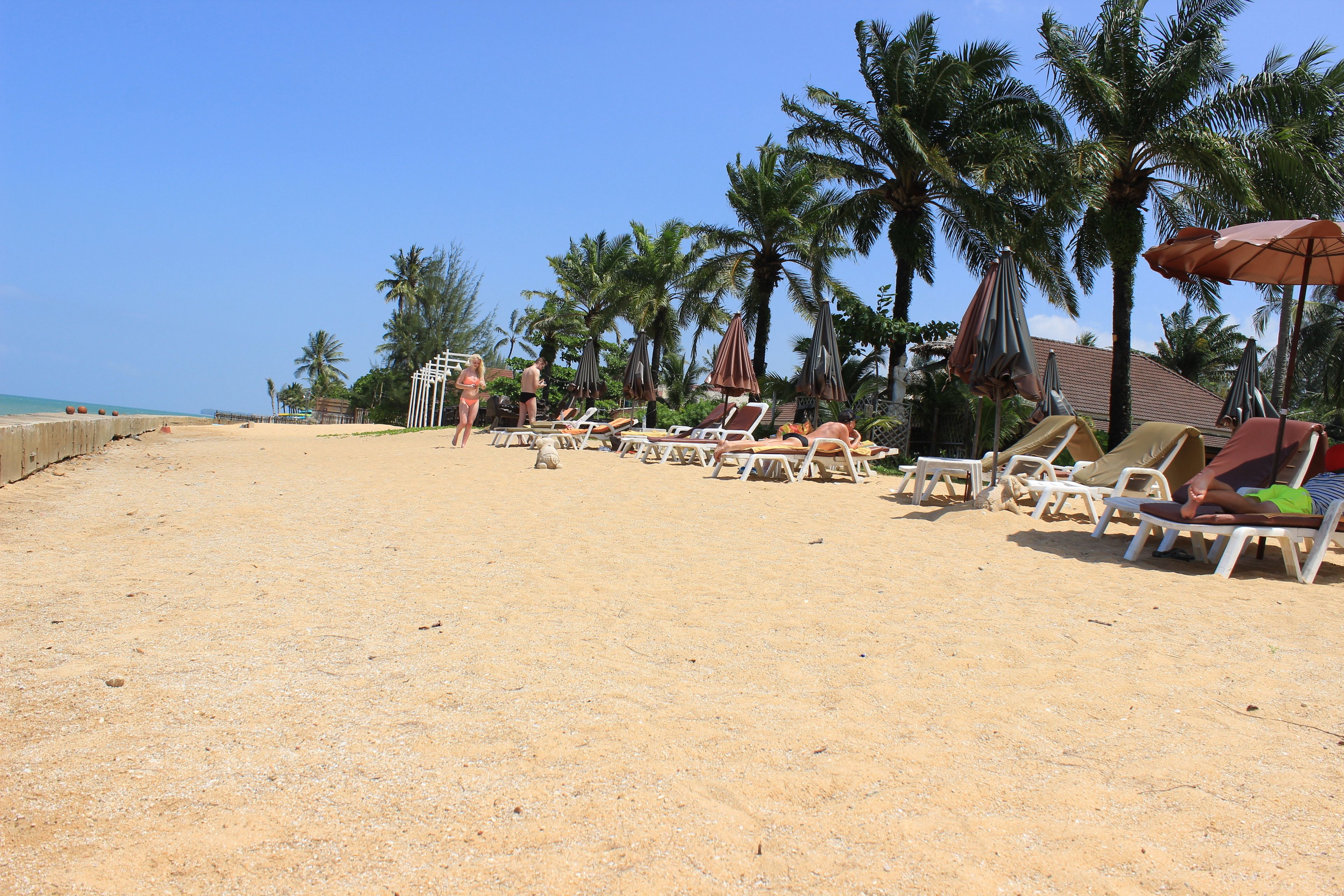 A beach with sun loungers, umbrellas, and palm trees.