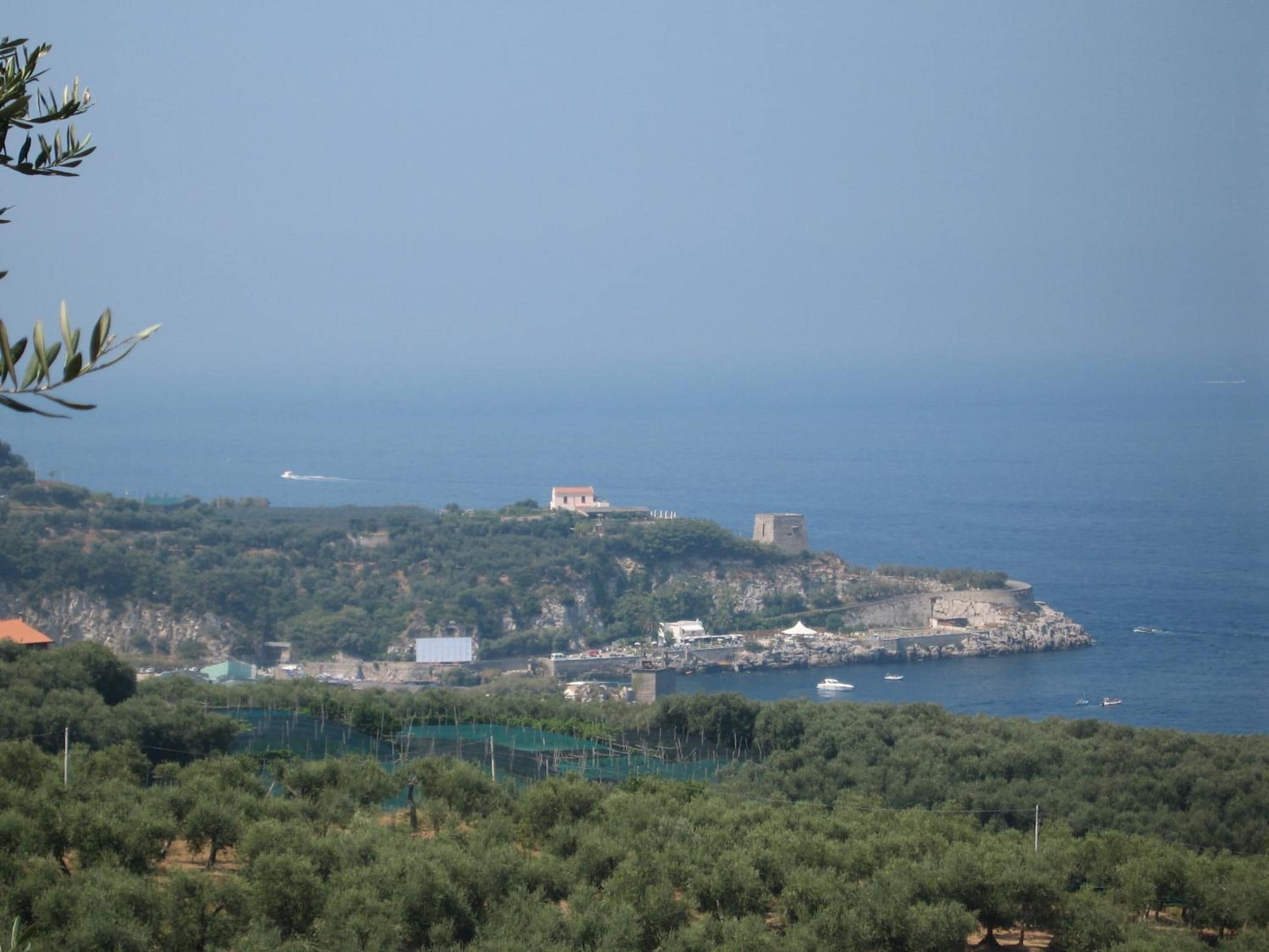 Foto - Hotel Villa Igea