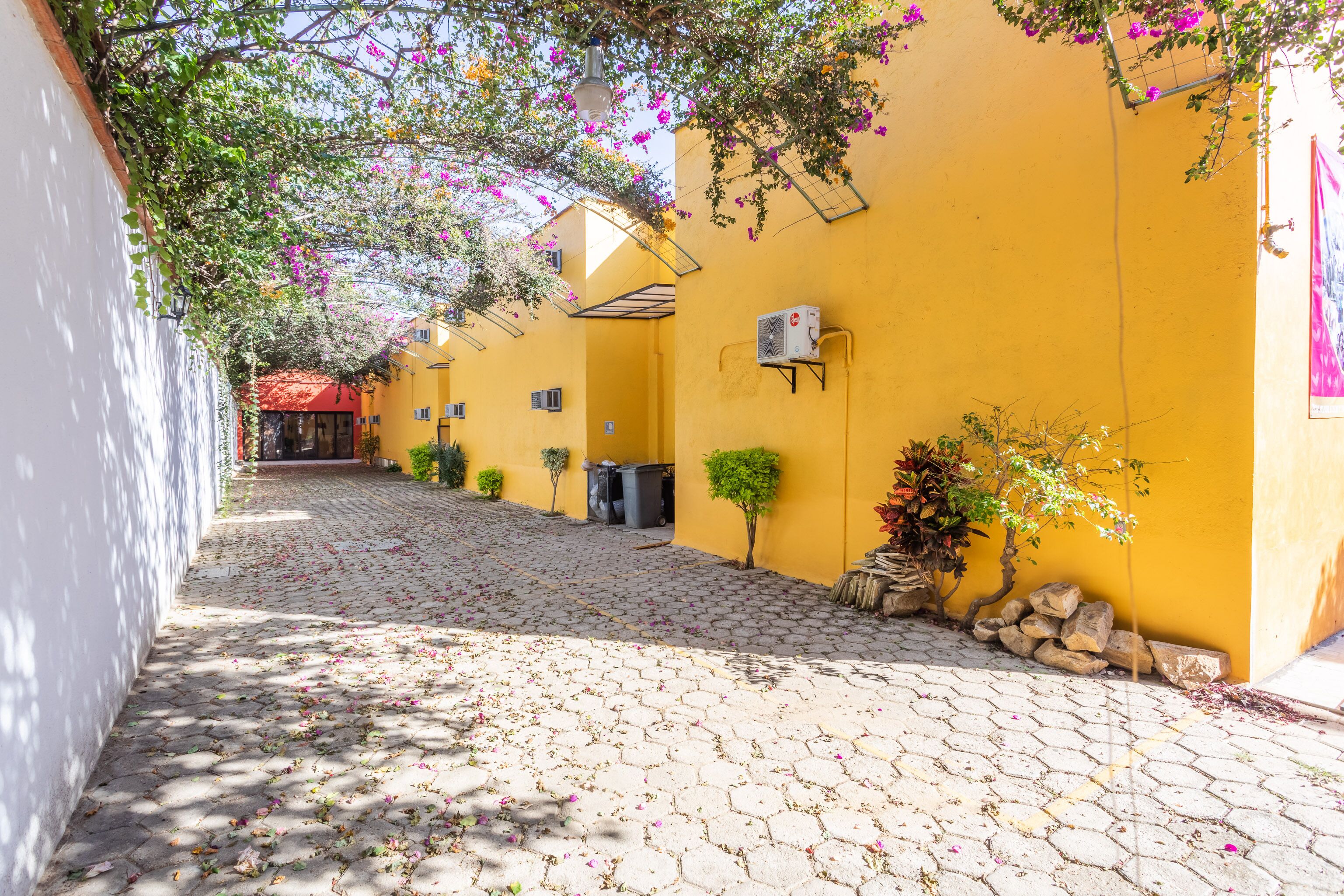 Foto - Hotel Ángel Inn