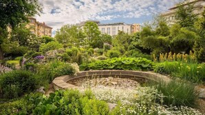 A lush garden with a circular stone feature, surrounded by various plants and flowers. - Serdika (Sofia)