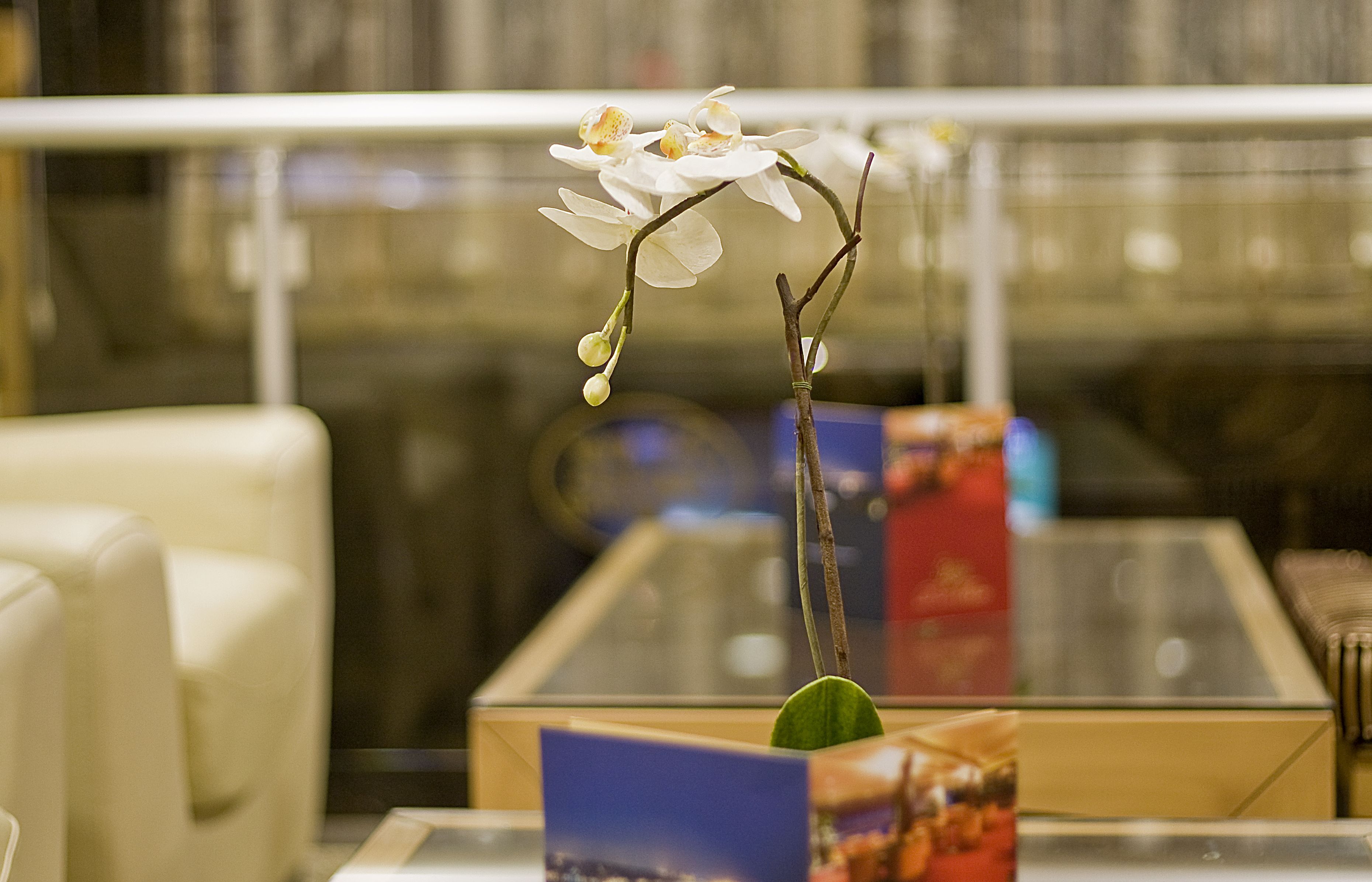 Foto - Park Star Hotel Taksim