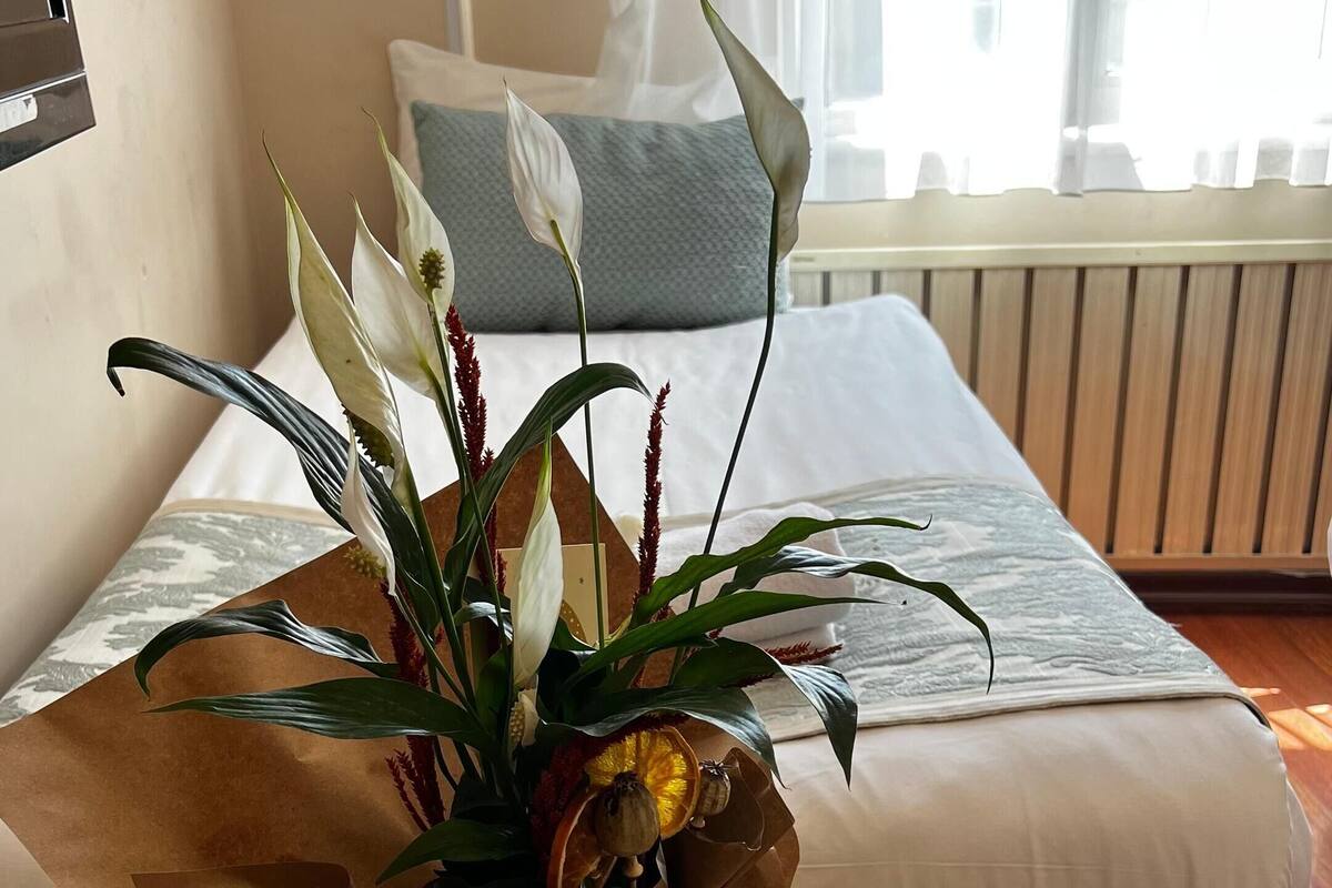 A hotel room with a bed, a bedside table with a plant, a plate of orange slices, and a bottle of water.