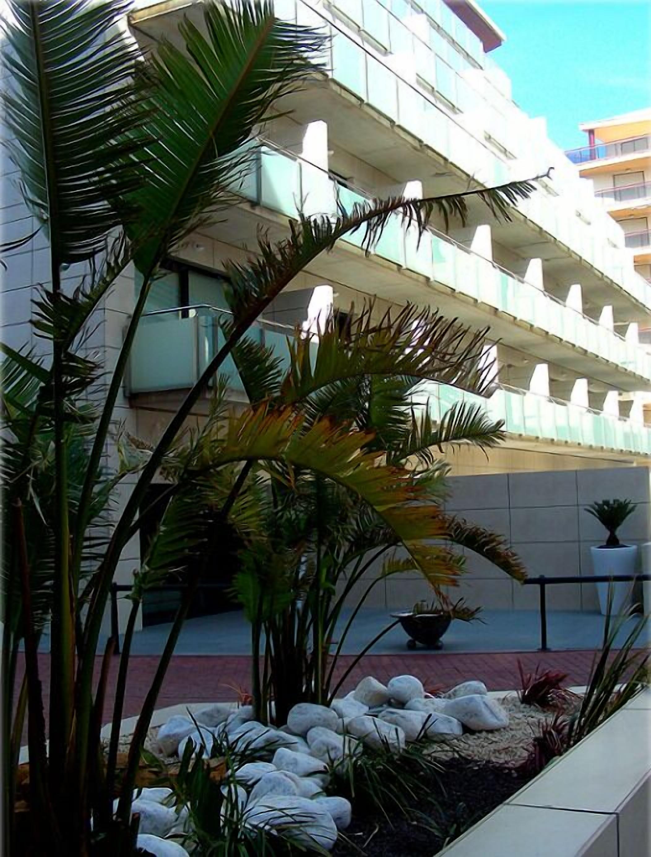 Foto - Hotel Acuazul