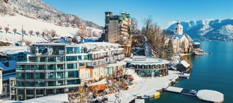 Scalaria Sunset Wing