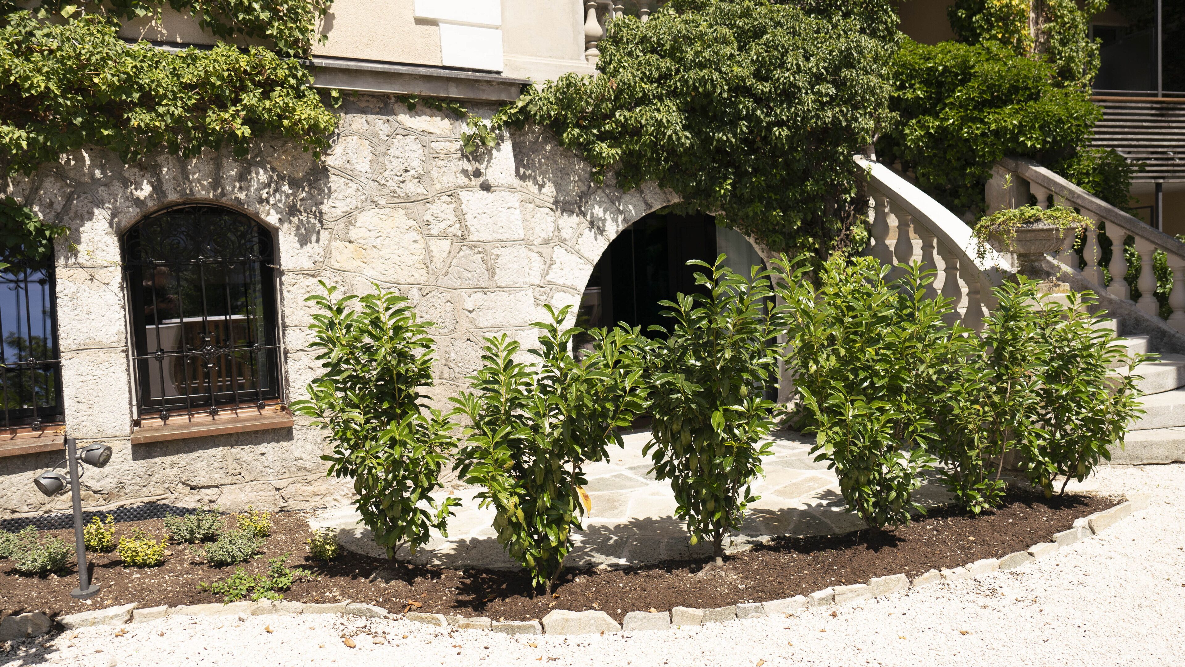 junior studio suite, balcony | 1 bedroom, hypo-allergenic bedding, minibar, free wifi