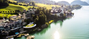 Scalaria Sunset Wing