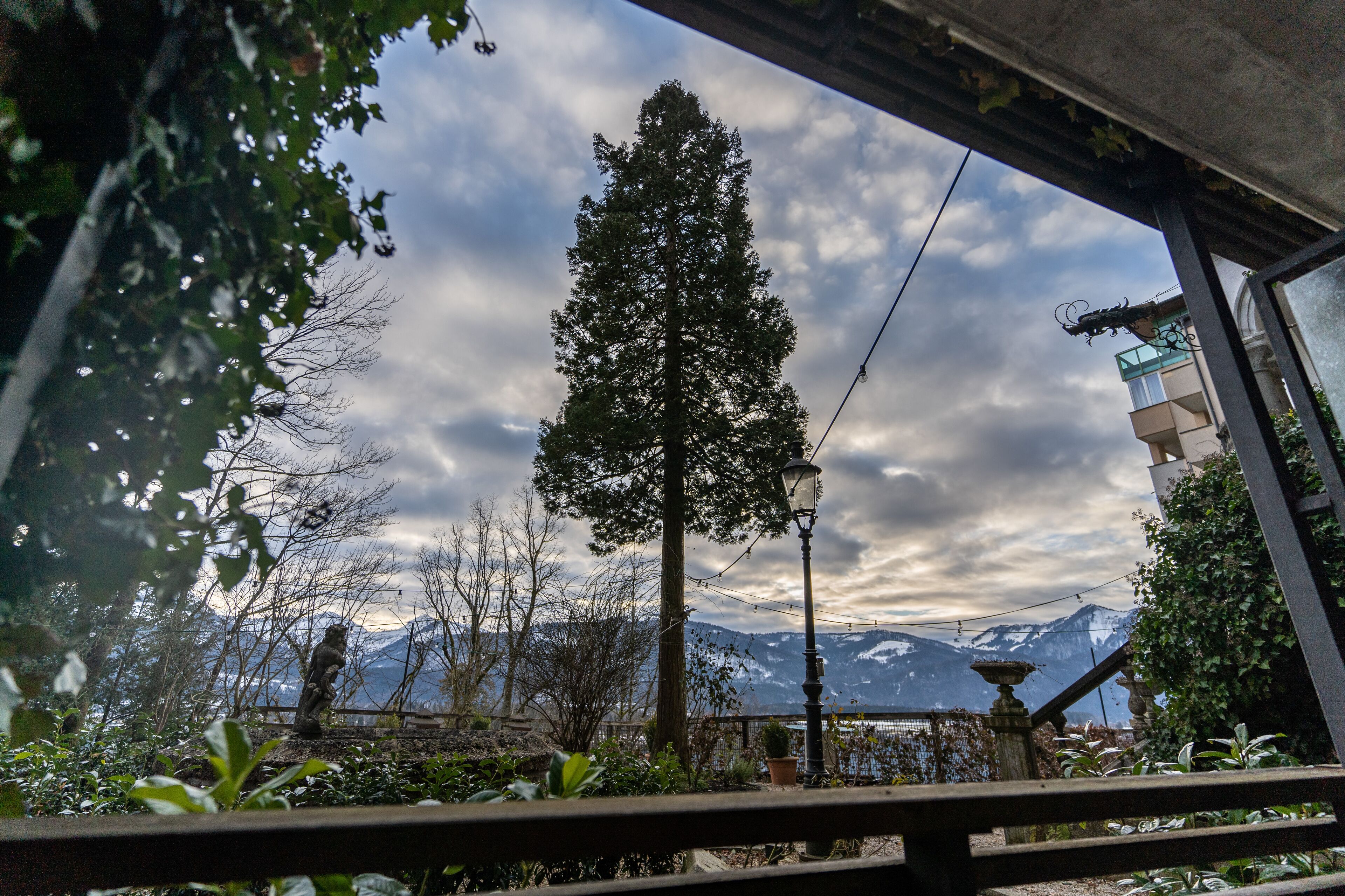A view from a window overlooking a mountain landscape with a prominent tree and a building in the background.