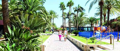 A paved walkway lined with palm trees and planters, leading to a building with a blue fence and steps.