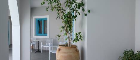 A hallway with a large terracotta pot with a tree, white chairs, and a blue-framed window.