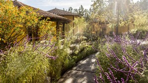 Un sendero conduce a un edificio amarillo con tejado de baldosas, rodeado de abundante vegetación y flores púrpuras.