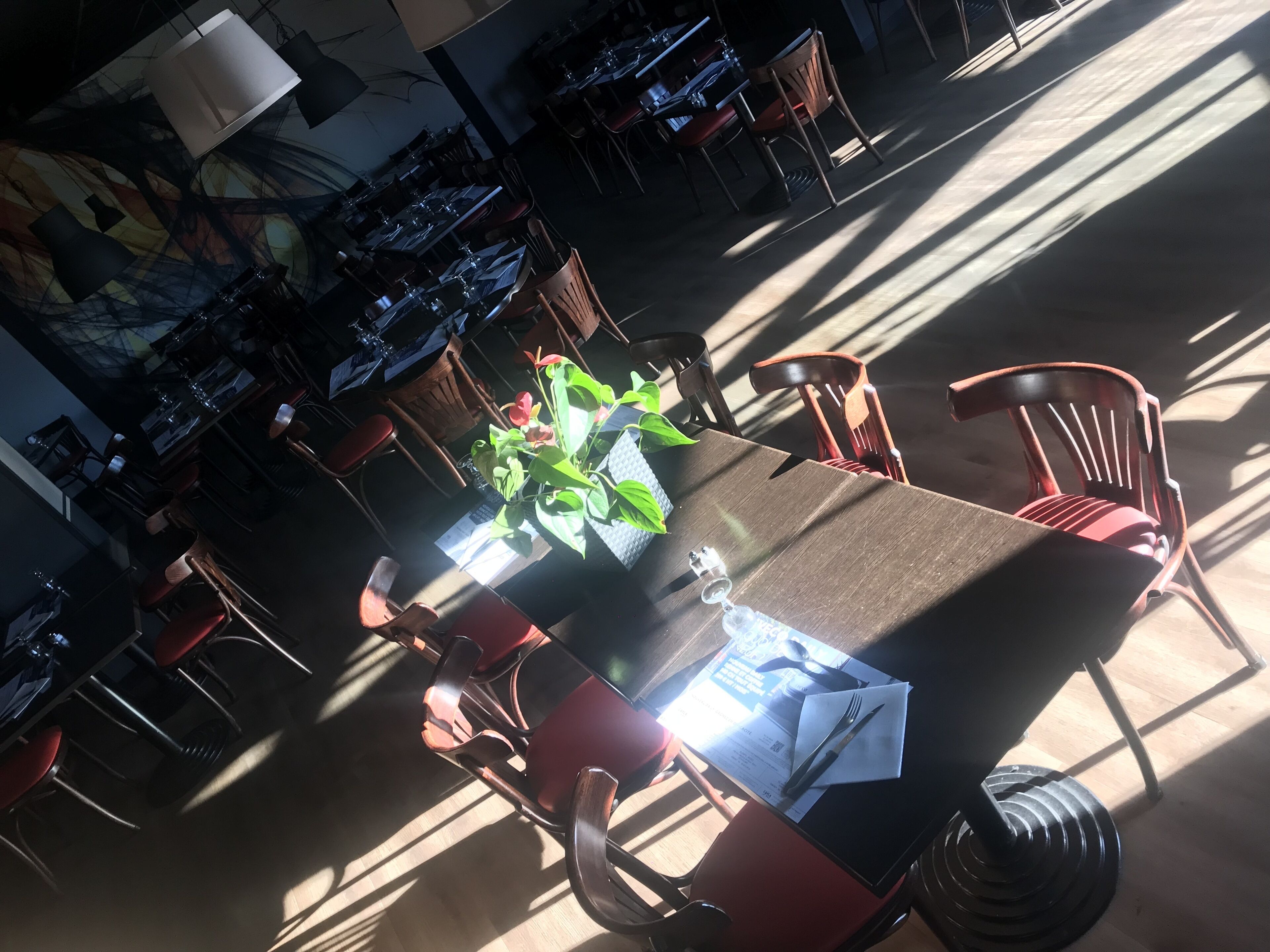A dining area with tables and chairs, a plant on one table, and a menu on the table.