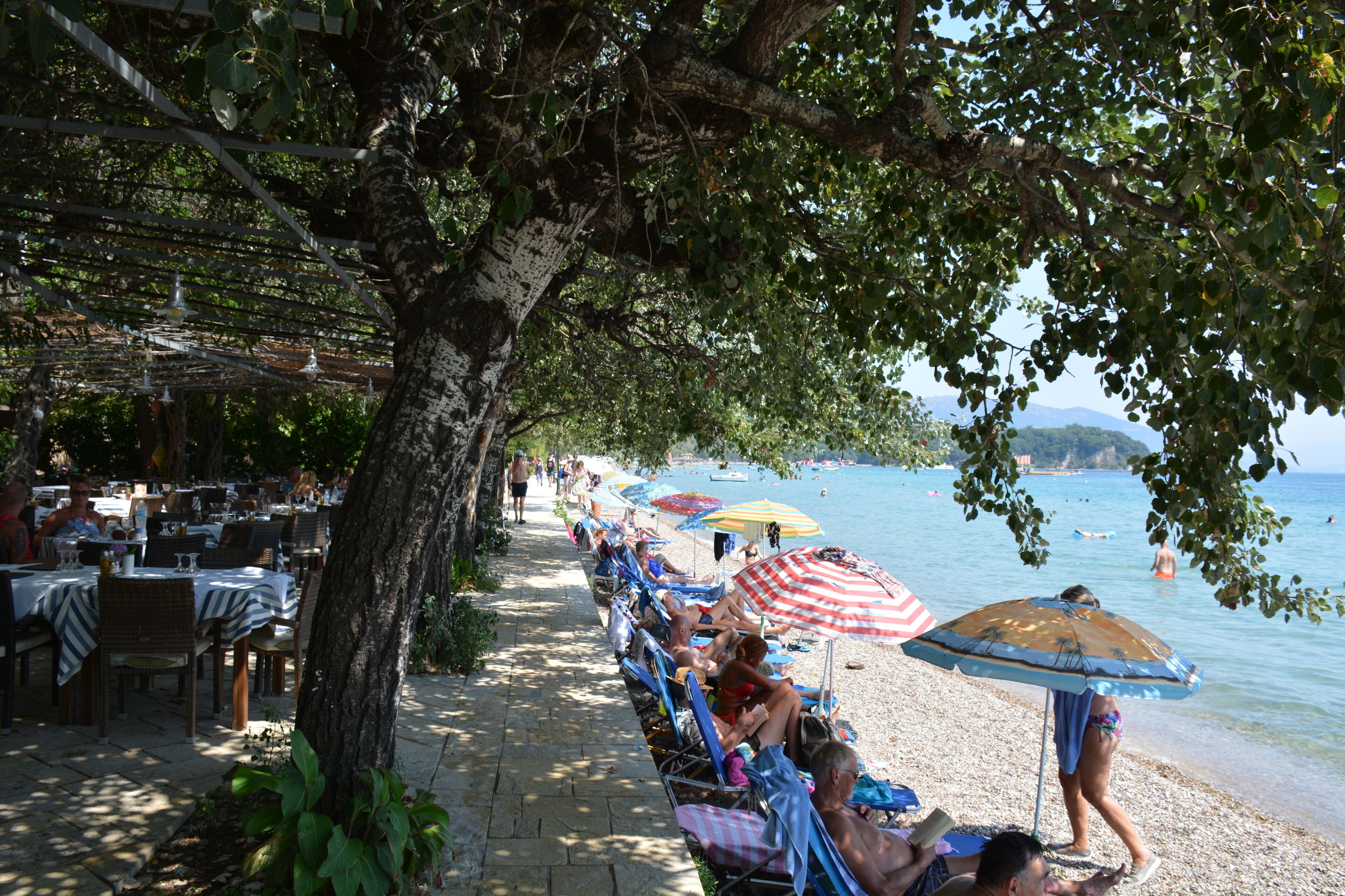 A seaside restaurant with outdoor seating under trees, a beach in the background, and umbrellas providing shade.