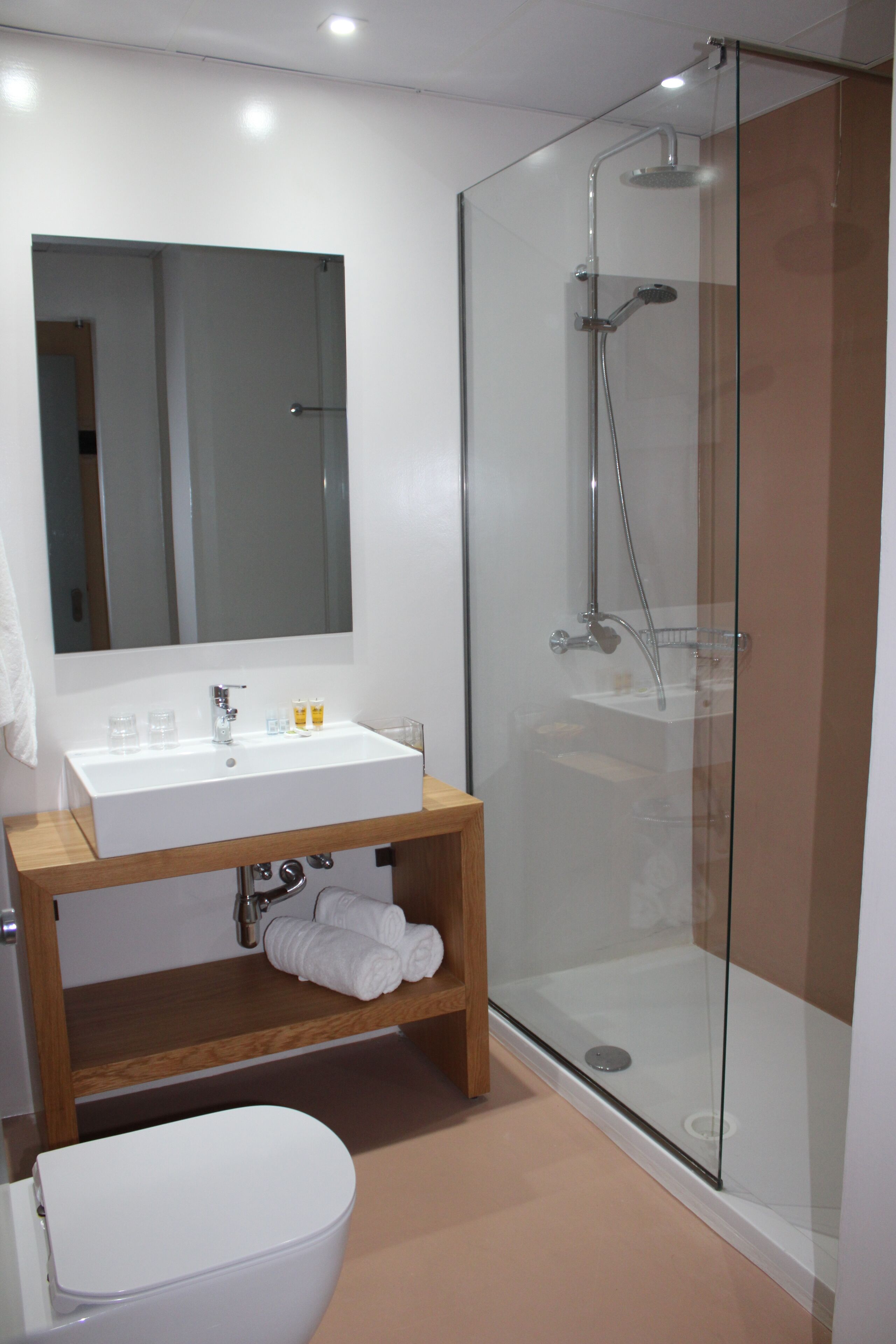 single room, mountain view | bathroom | free toiletries, hair dryer, towels