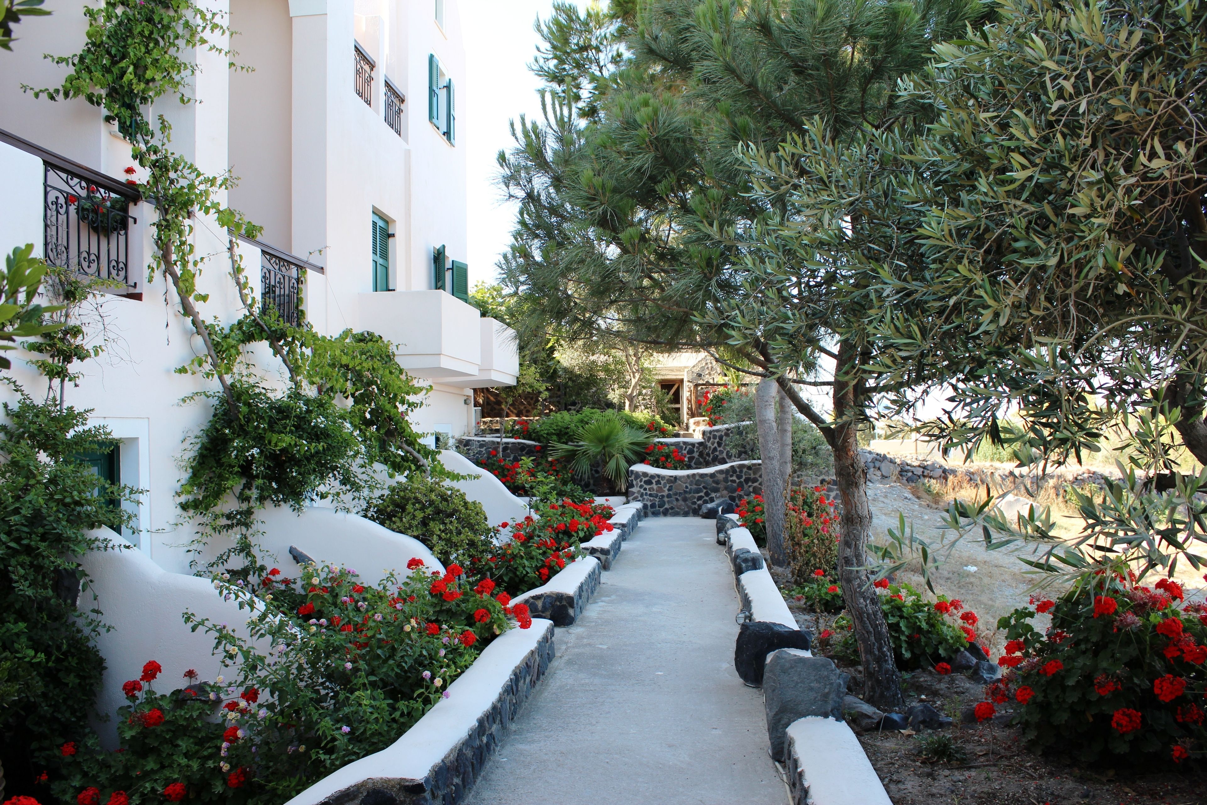 A pathway flanked by white buildings with green shutters, leading to a stone wall and a tree.