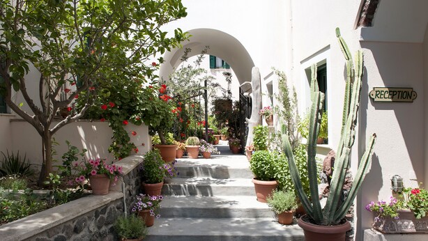 A narrow pathway flanked by potted plants and a reception sign. - Costa Marina Villa (Santorini)