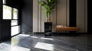 Un hall d’entrée moderne avec une grande plante en pot, un banc et un livre posé dessus.