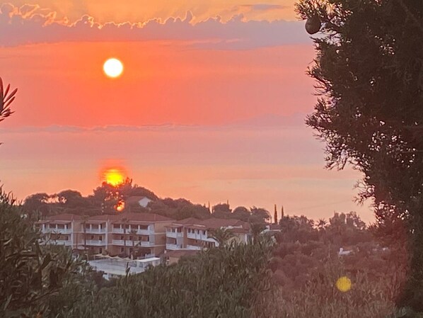 Vista desde la propiedad