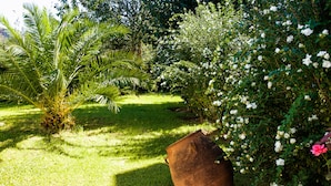 Garden - Stellina Hotel (Skiathos)