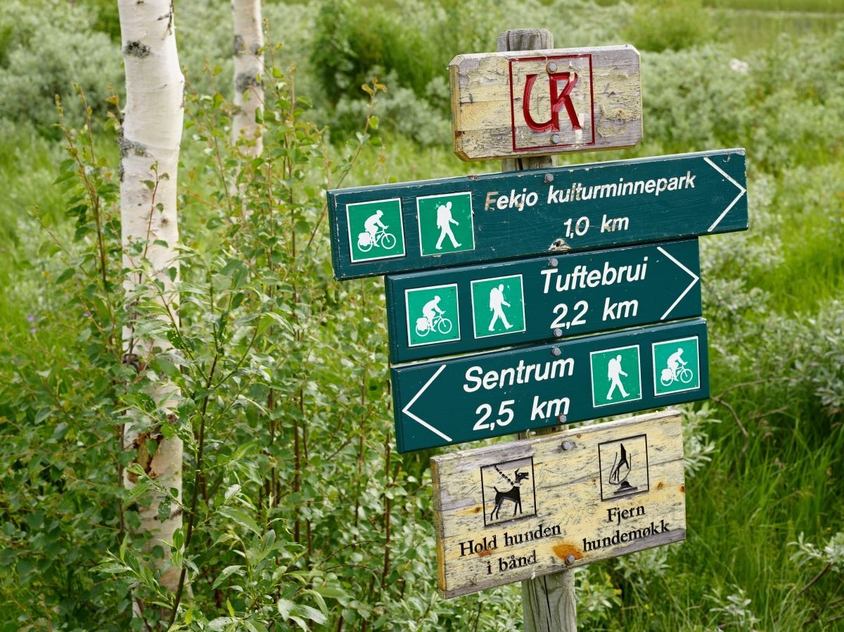 Un poste indicador con varias señales verdes que muestran distancias y actividades.