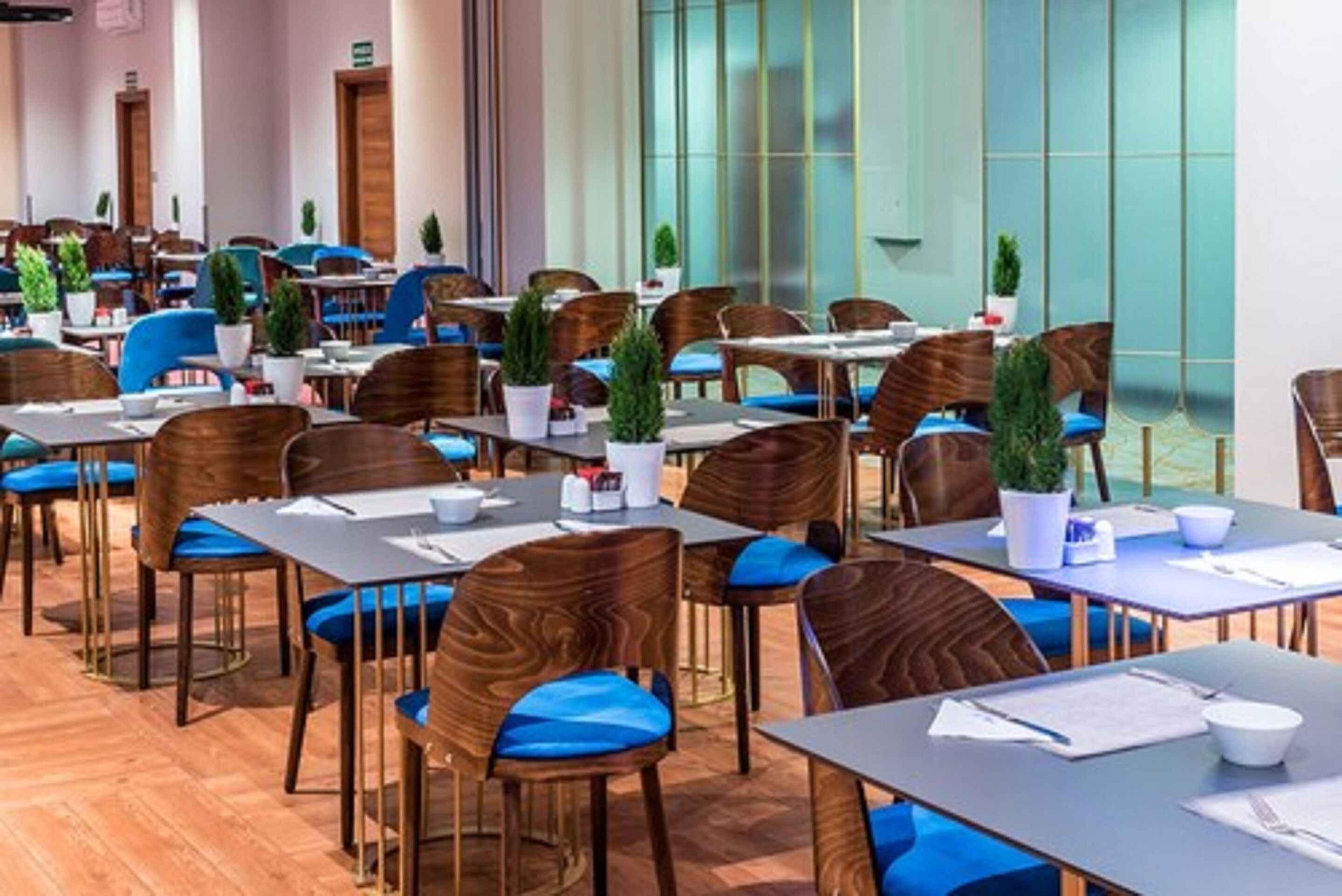 Un comedor moderno con sillas de madera y cojines azules, mesas con manteles individuales blancos y plantas en macetas.