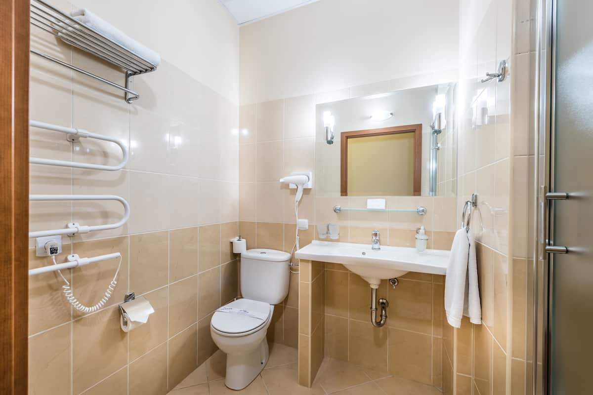 shower, free toiletries, hair dryer, slippers