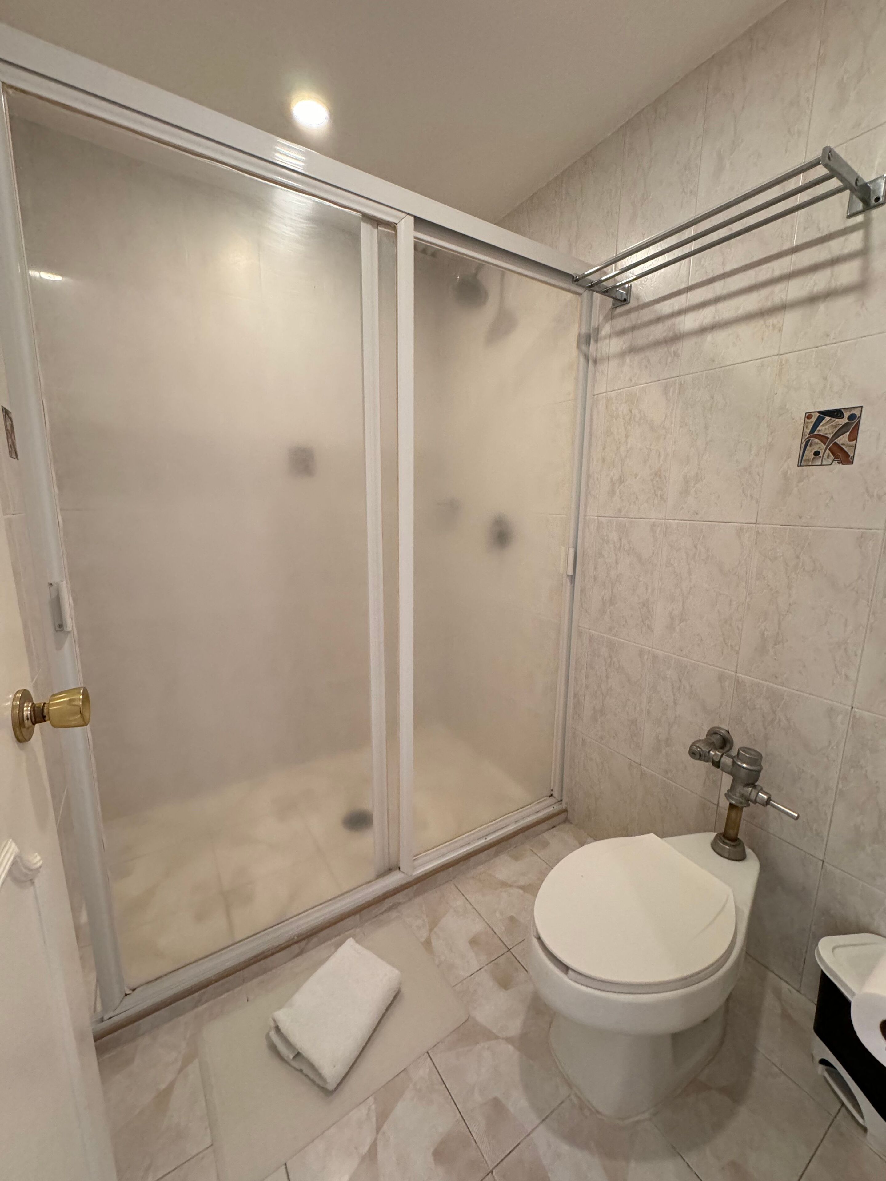 Un baño con ducha de vidrio, inodoro y perchero para toallas.