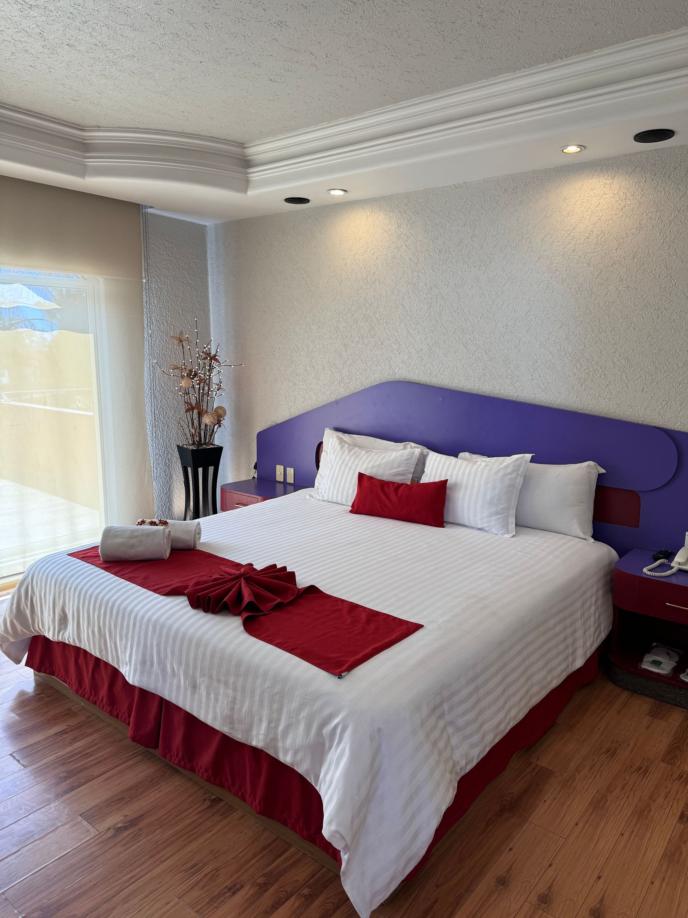 Suite Exécutive (jacuzzi)