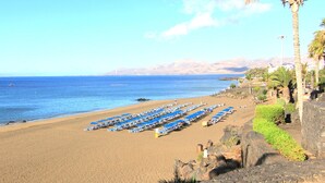 A beach with rows of blue sun loungers and a rocky cliff with palm trees. - Arena Dorada - Apartments (Tías)