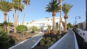 A pathway lined with cacti and palm trees, leading to a white building with multiple floors. - Arena Dorada - Apartments (Tías)