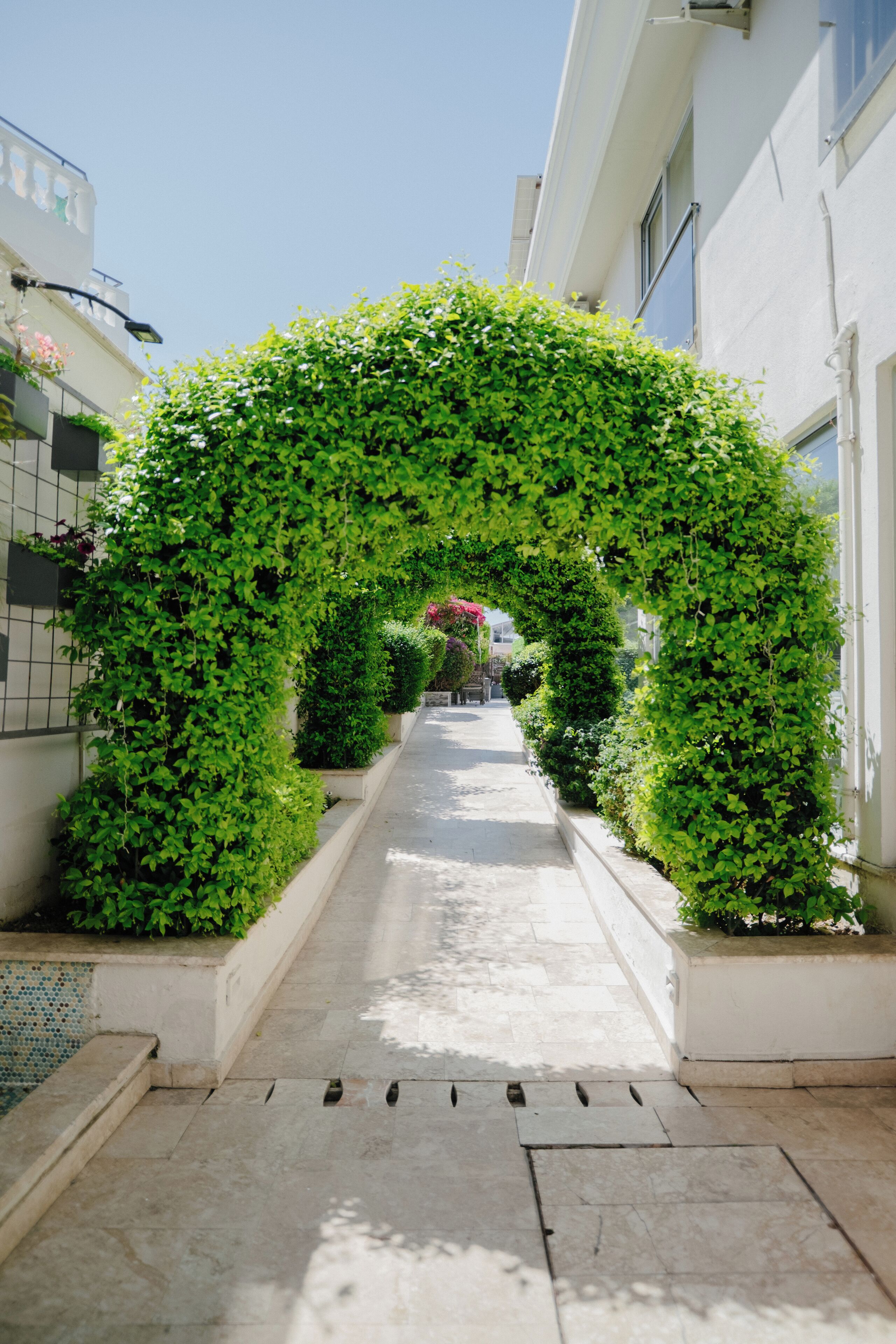 Foto - Xperia Saray Beach Hotel