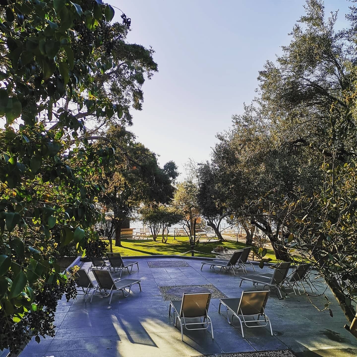 Un espace extérieur aménagé avec des fauteuils et des tables, entouré d’arbres et offrant une vue sur un plan d’eau.