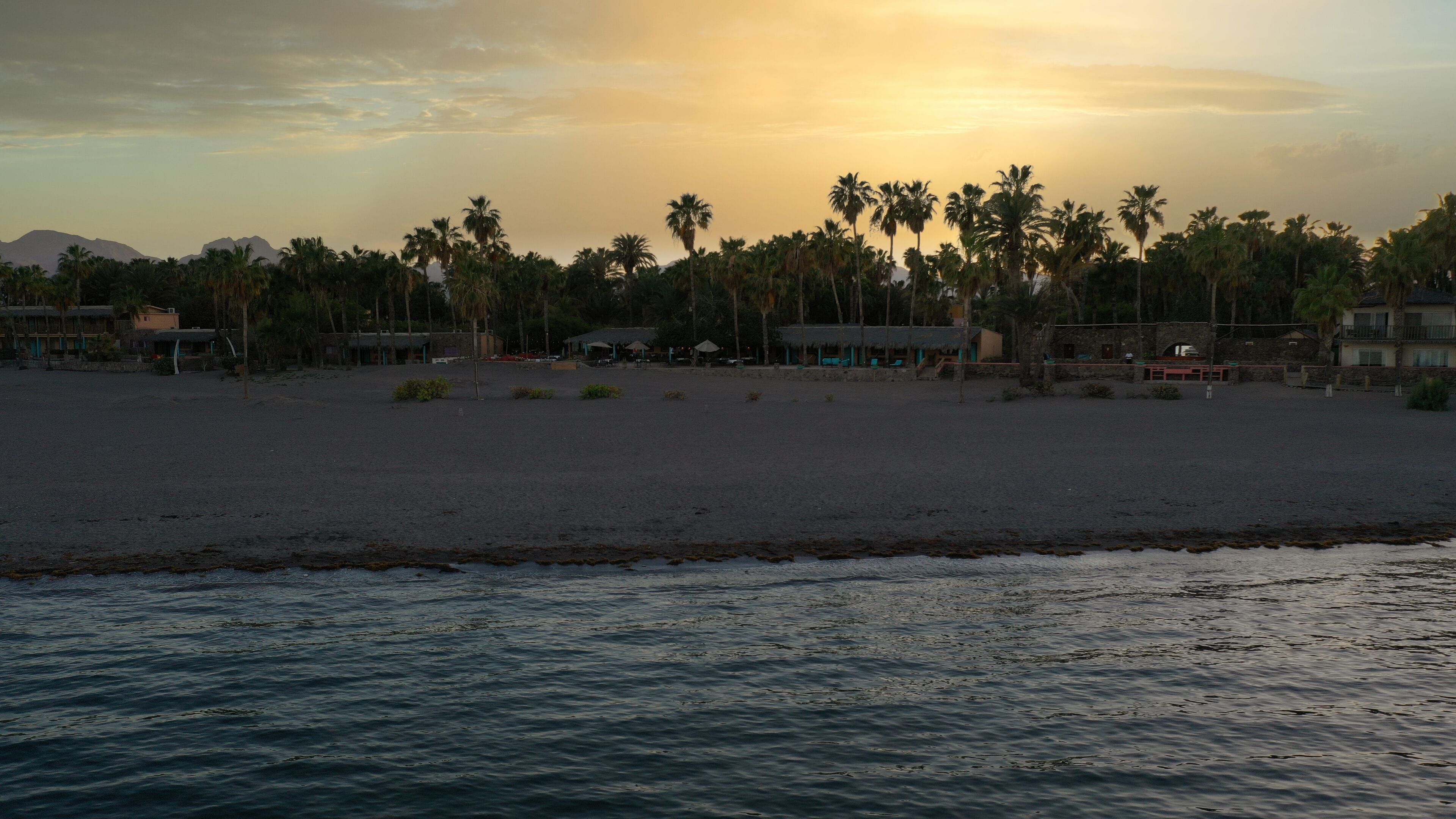 A beach with palm trees and buildings in the background.