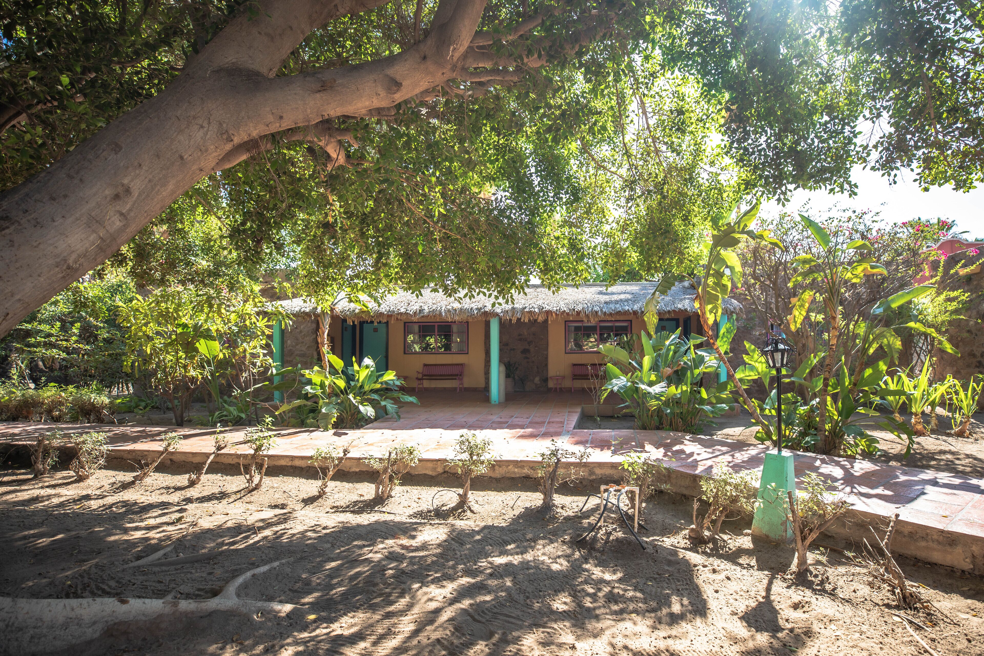 スタンダード ルーム プールビュー | ピロートップベッド、セーフティボックス (室内)、アイロン / アイロン台、WiFi (無料)