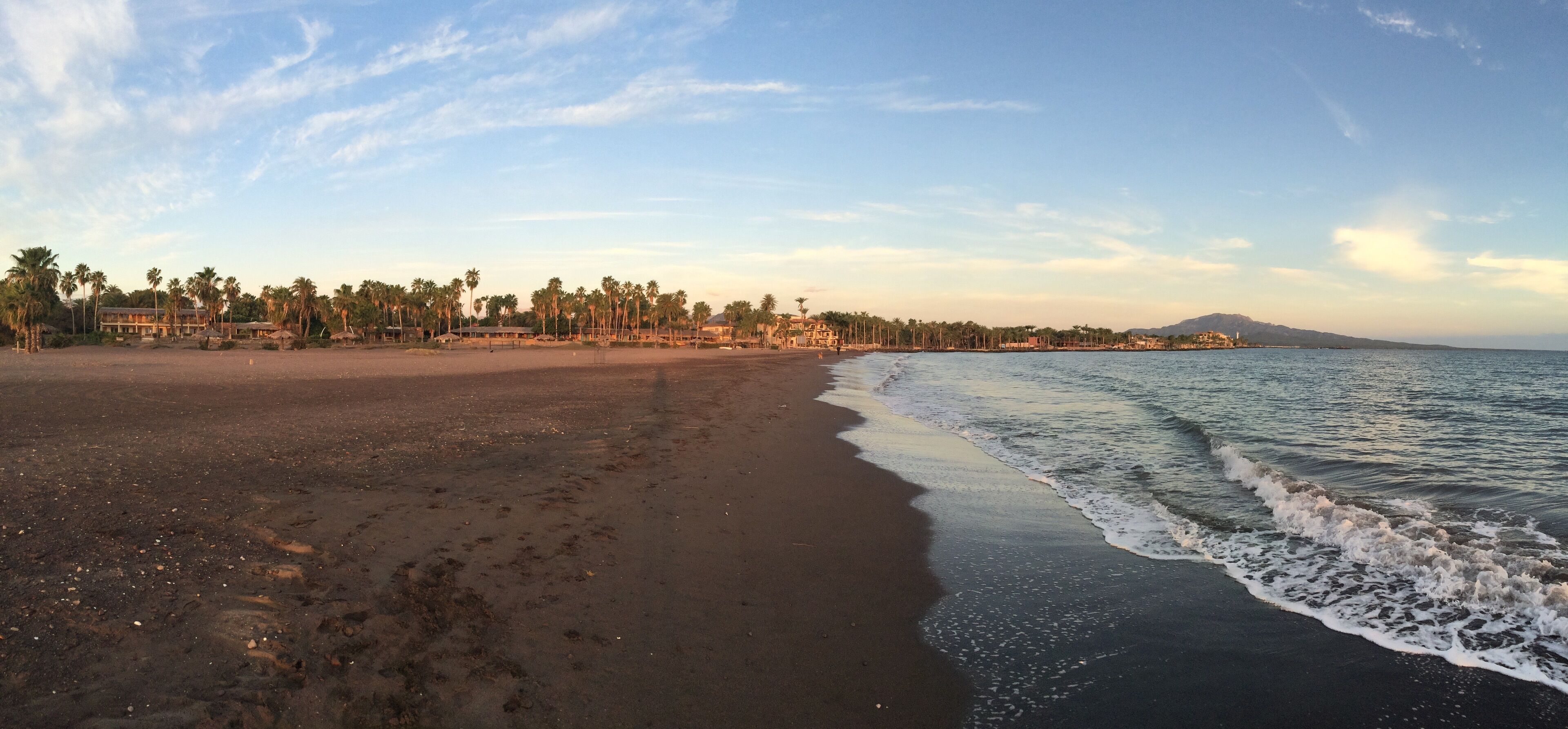A beach with a clear sky, palm trees, and a mountain in the background.