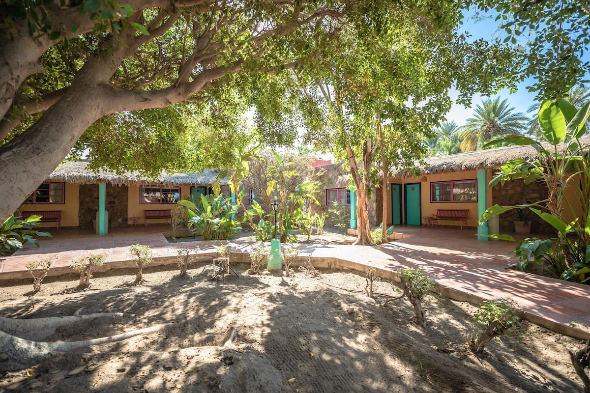A courtyard with thatched-roof huts, surrounded by trees and plants.