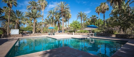 Outdoor pool, pool umbrellas, sun loungers