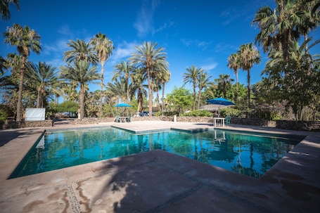 Una piscina al aire libre, sombrillas, sillones reclinables de piscina
