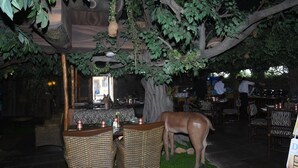 Un restaurant avec des meubles en osier, un grand arbre et une statue de vache.