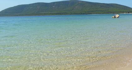 Actinia Accomodation