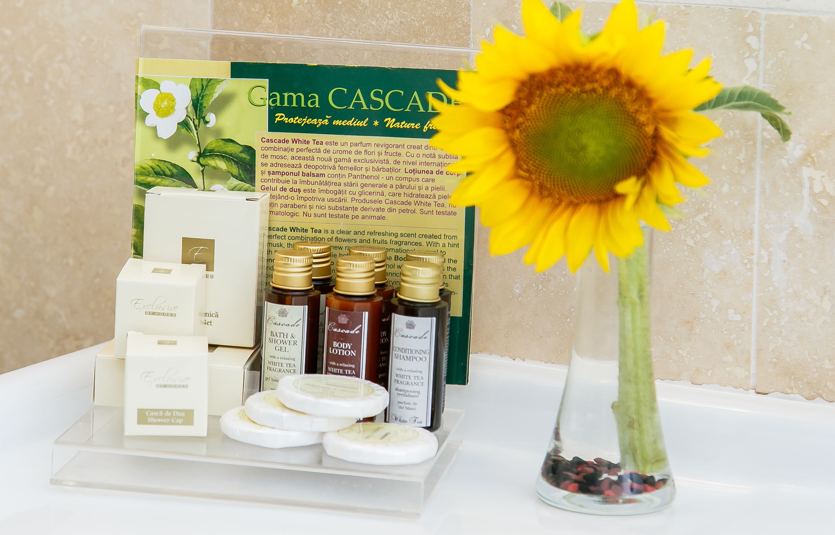 Foto - International Bucharest City Centre Hotel