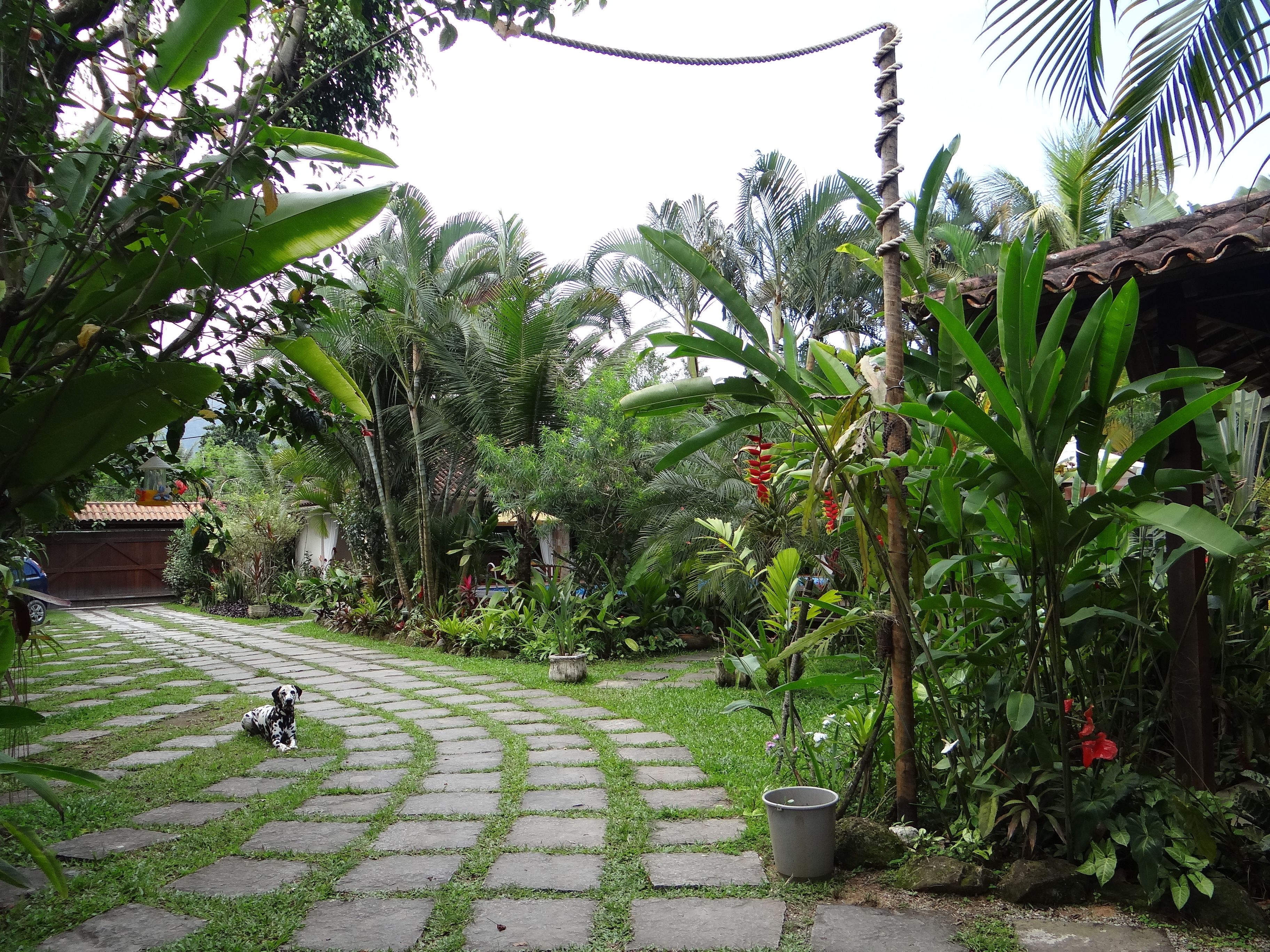 A garden with a paved walkway, various plants, and a dog lying on the grass.