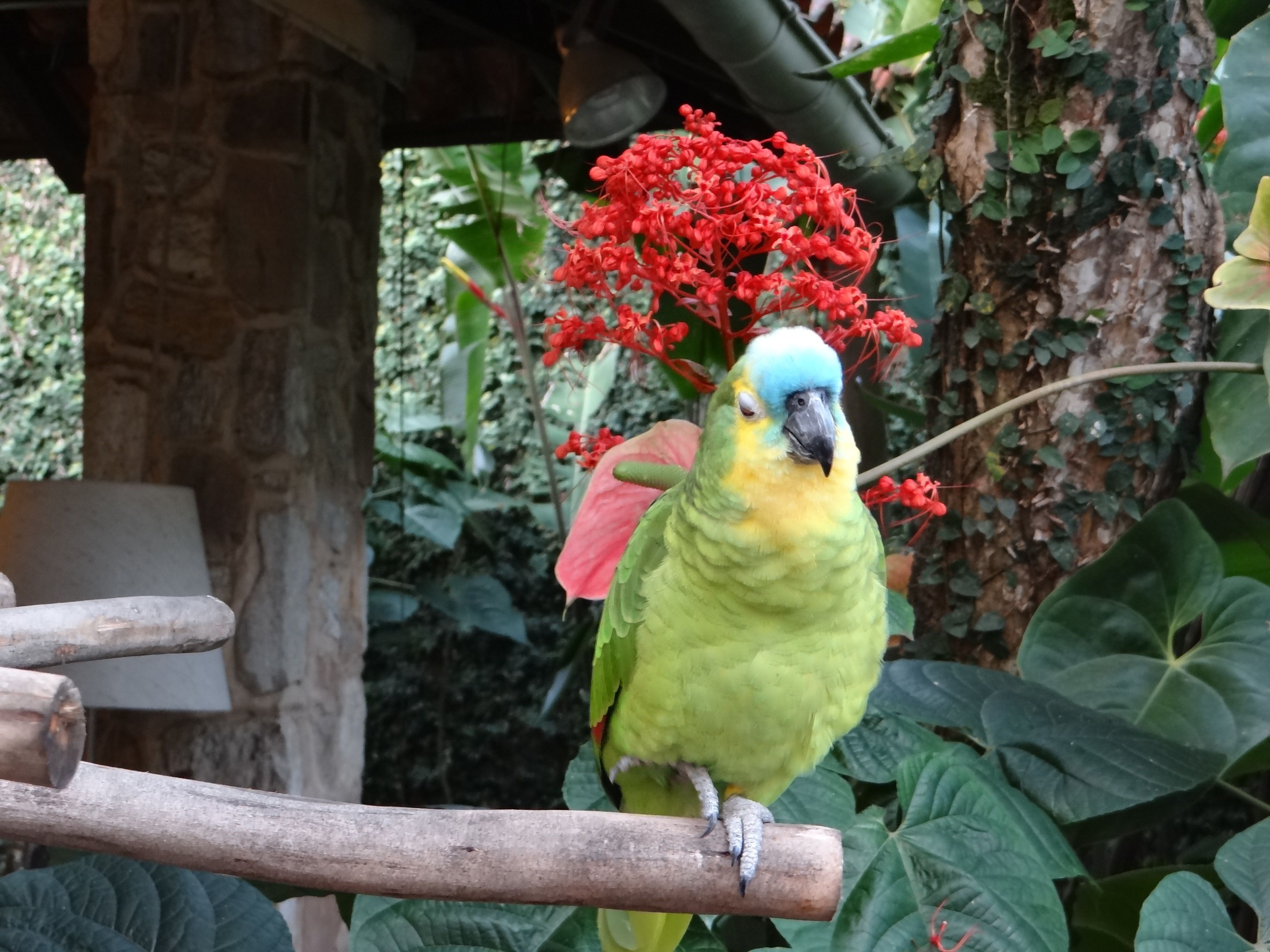 Photo - Eliconial Paraty Pousada