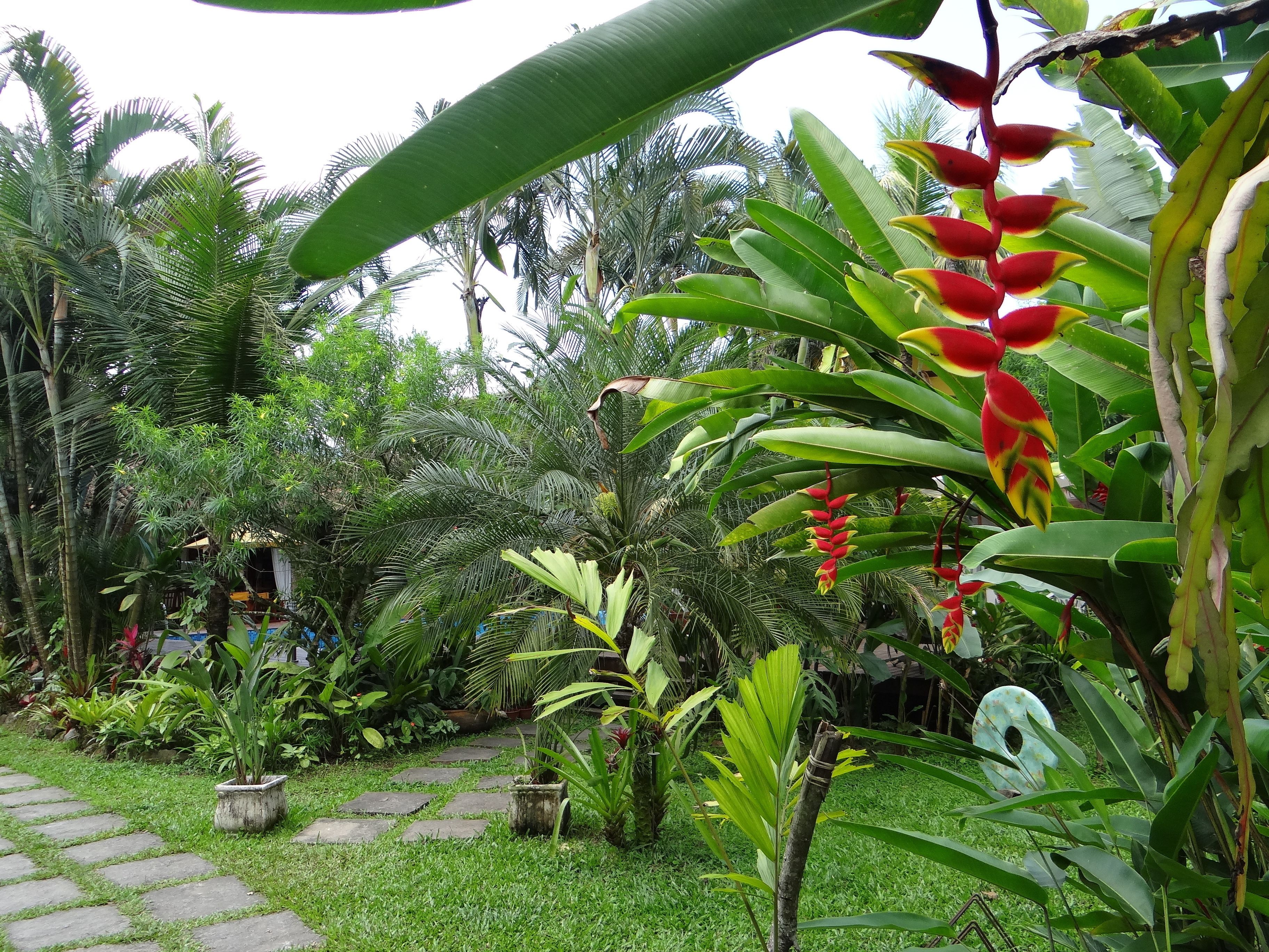 Photo - Eliconial Paraty Pousada