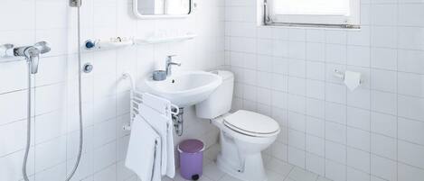A modern bathroom with a bathtub, a sink, a toilet, and a shower.