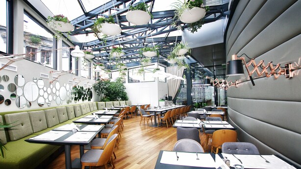 Un restaurante con una barra larga, cabinas y plantas colgantes.