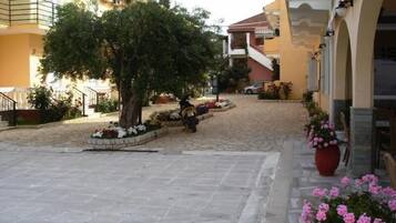 A courtyard with a tree, potted plants, and a staircase leading to a building.