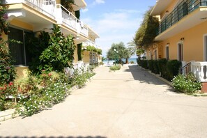 Property grounds - Complex Lemon Grove (Corfu)